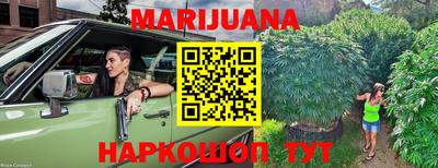 прущие грибы Будённовск
