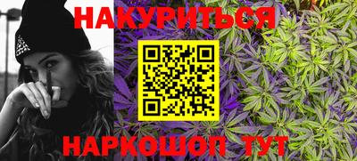 прущие грибы Будённовск