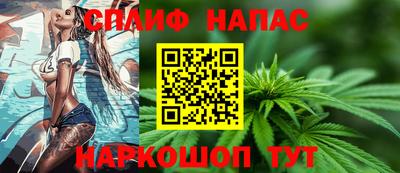 прущие грибы Будённовск