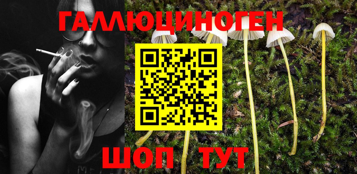 Псилоцибиновые грибы мицелий Людиново