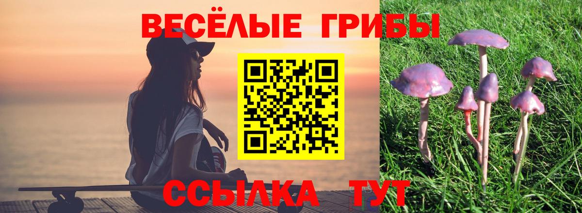 как найти наркотики  Вход с VPN  Людиново  Псилоцибиновые грибы ЛСД 